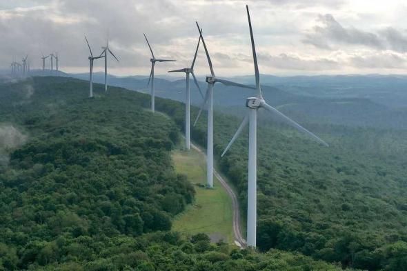 العالم اليوم - أوروبا تحتاج إلى الطاقة الخضراء .. لكن ما الذي يمنعها؟