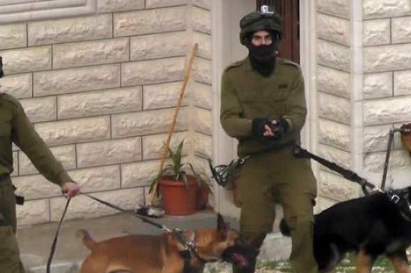 المرصد الأورومتوسطي: الاحتلال يستخدم الكلاب البوليسية في مهاجمة الفلسطينيين
