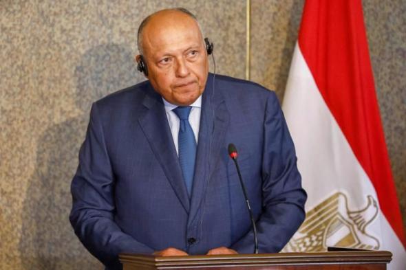 شكرى يؤكد حرص مصر على الانخراط فى جهود الوساطة وتسوية النزاعات
