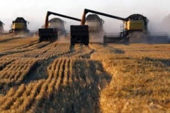 تراجع أسعار صادرات القمح الروسي
