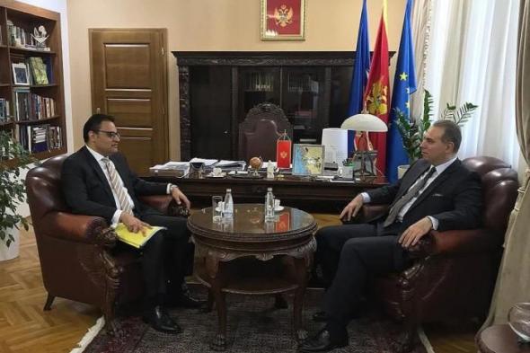 سفير مصر يلتقي بوزير خارجية جمهورية الجبل الأسود