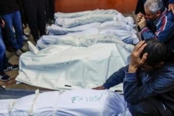 أخبار اليمن : ارتفاع عدد شهداء غزة إلى 38 ألفاً و193