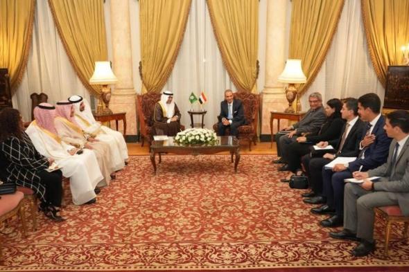 وزير الخارجية يستقبل أمين عام مجلس التعاون الخليجي