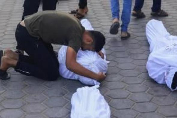 أخبار اليمن : ارتفاع حصيلة الشهداء في غزة إلى 38794