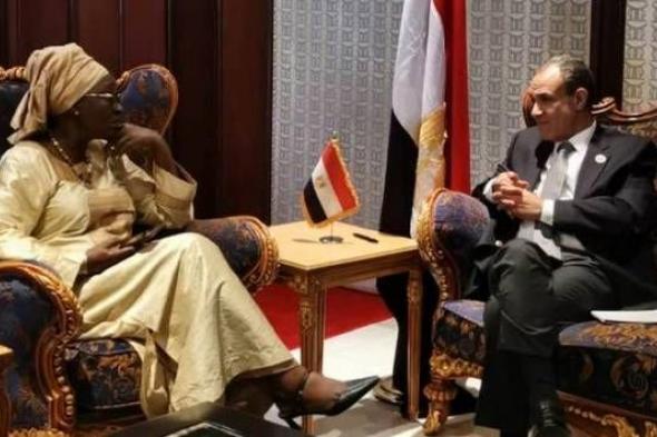 وزير الخارجية يشيد بالعلاقات التاريخية المتميزة بين مصر والسنغال