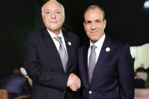 وزير الخارجية: مصر مستعدة لتنفيذ مشروعات التنمية العملاقة بالجزائر