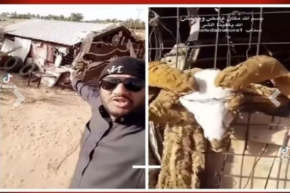 مواطن سعودي يعثر على خيمة مهجورة بالصحراء والمفاجأة عندما اقترب منها حدث ما لا يمكن تخيله..اتفرج