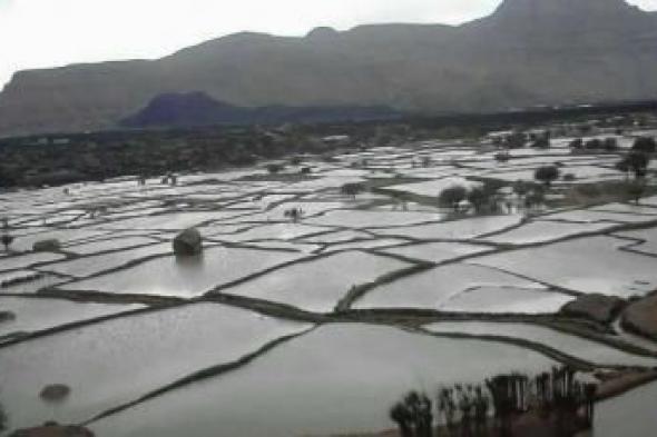 أخبار اليمن : الأرصاد يحذّر: أمطار وسيول وأجواء حارة